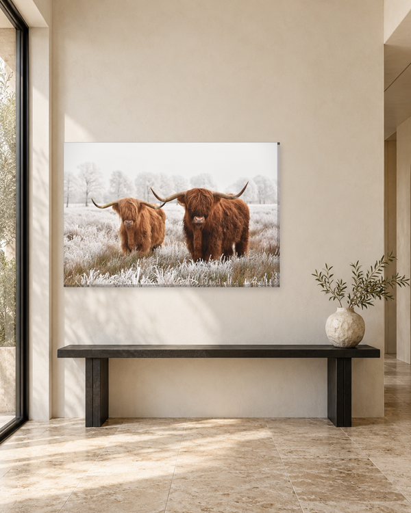 What Size Canvas for Your Wall? A Room-by-Room Size Guide