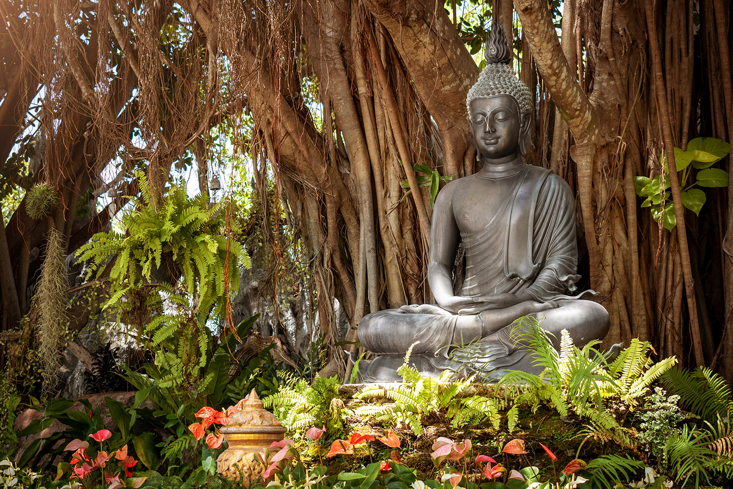 Buddha Statue Under A Tree Canvas Print