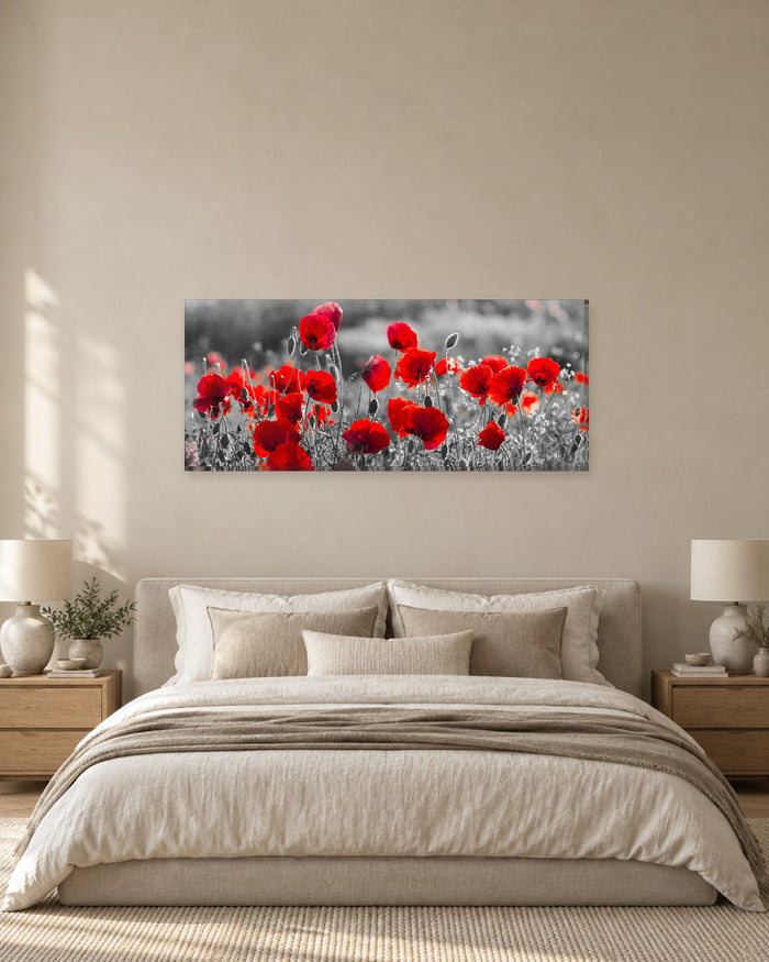 Red Poppies Panoramic Canvas Wall Art - Poppy Field on Black and White - Gallery Canvas - 38mm / 48 x 20 preview