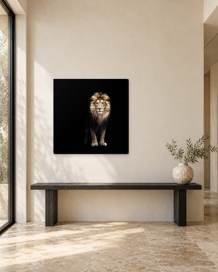 Lion Wall Art - Lion with a Golden Mane on Black Square Canvas - Gallery Canvas - 38mm / 30 x 30 preview