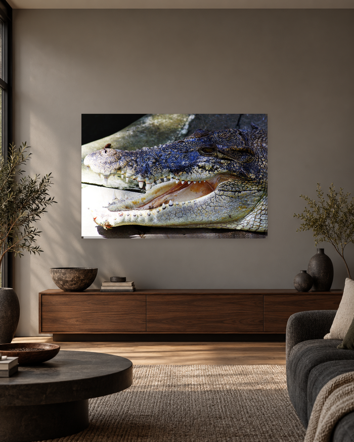 Crocodile Jaws Close-Up Canvas Wall Art - Reptile Animal Print - Gallery Canvas - 38mm / 48 x 32 / Unframed preview
