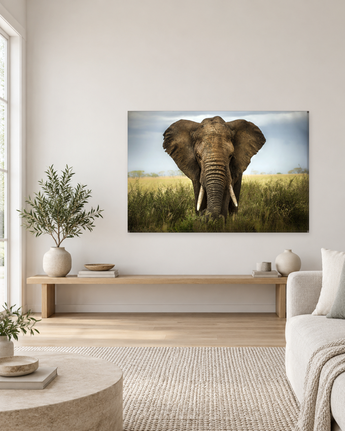 Lone African Elephant Canvas Wall Art - Golden Savannah Wildlife Print - Gallery Canvas - 38mm / 48 x 32 / Unframed preview
