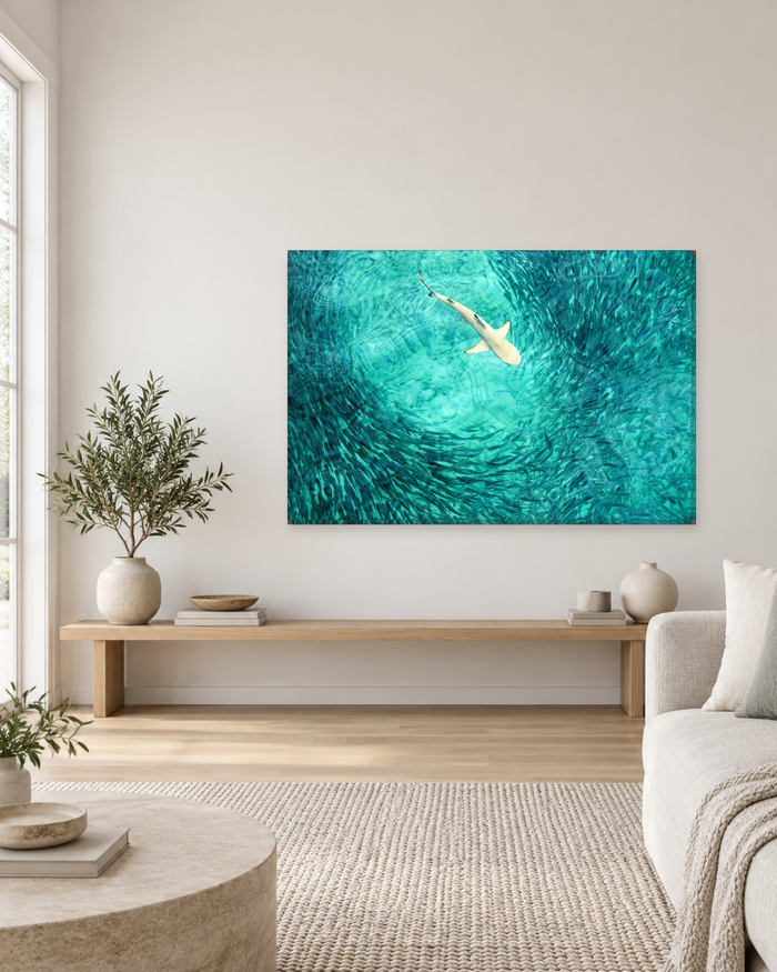 Shark and Fish Shoal Canvas Wall Art - Turquoise Ocean from Above - Gallery Canvas - 38mm / 48 x 32 / Unframed preview