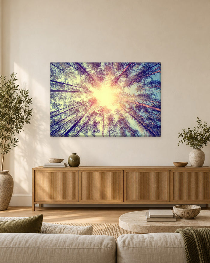 Looking Up at Pine Trees Canvas Wall Art - Sunlit Forest Canopy - Gallery Canvas - 38mm / 48 x 32 / Unframed preview