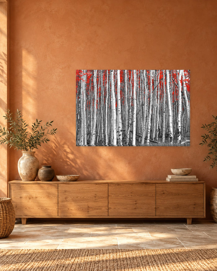 Black and White Forest with Red Leaves Canvas Wall Art - Tall Tree Trunks - Gallery Canvas - 38mm / 48 x 32 / Unframed preview