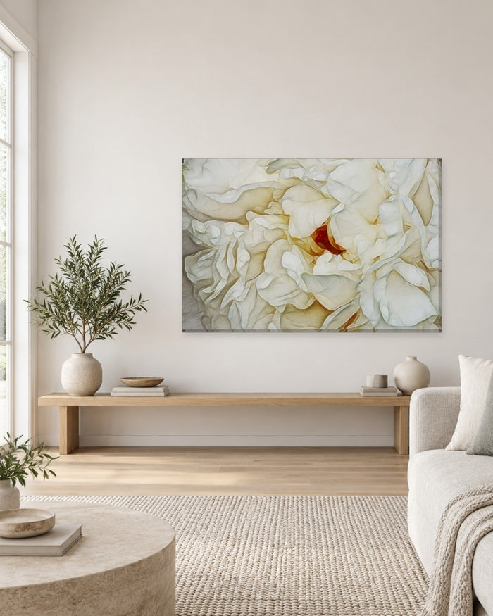 Cream Rose Petals Canvas Wall Art - Ivory Floral Close-Up - Gallery Canvas - 38mm / 48 x 32 / Unframed preview
