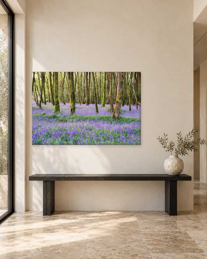 Bluebell Woods Camborne Cornwall Canvas Wall Art - Purple Carpet and Green Trees - Gallery Canvas - 38mm / 48 x 32 / Unframed preview