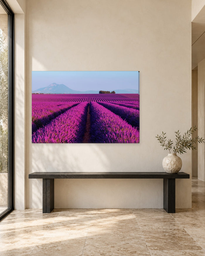 Lavender Field and Mountain Canvas Wall Art - Purple Rows Under a Pale Sky - Gallery Canvas - 38mm / 48 x 32 / Unframed preview