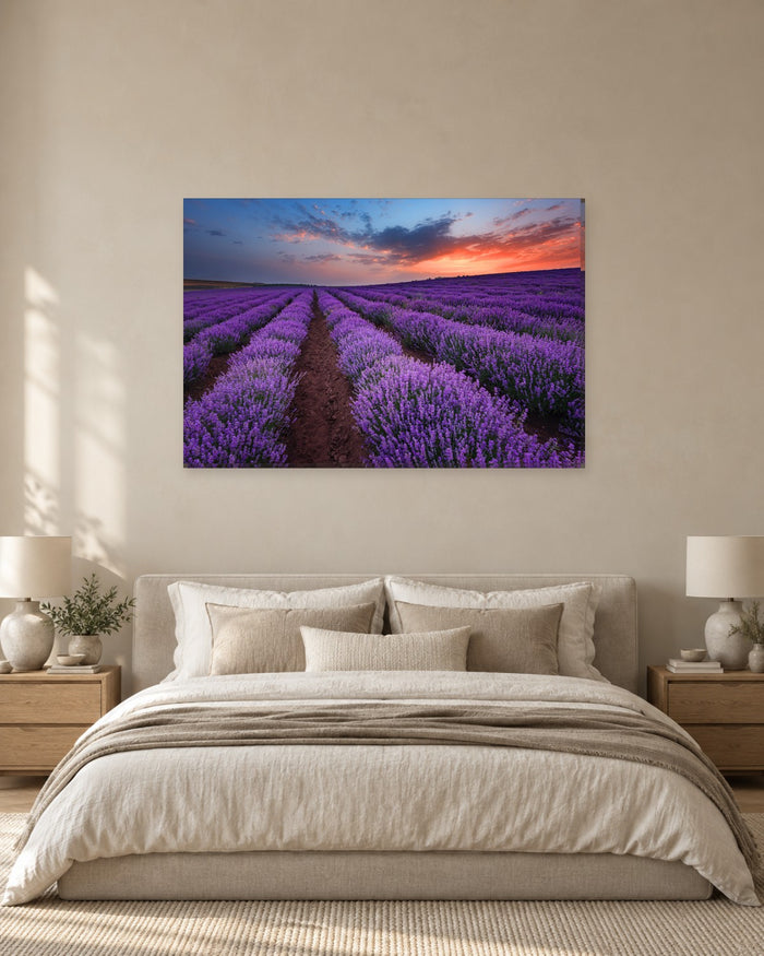 Lavender Fields at Sunset Canvas Wall Art - Purple Rows and Fiery Orange Sky - Gallery Canvas - 38mm / 48 x 32 / Unframed preview