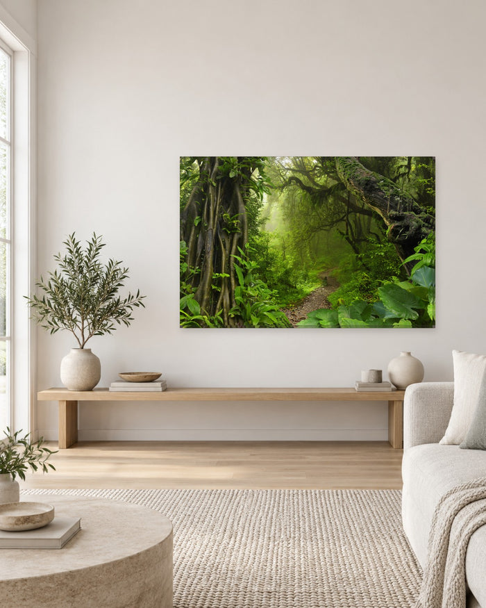 Lush Rainforest Path Canvas Wall Art - Misty Green Jungle Trail and Vines - Gallery Canvas - 38mm / 48 x 32 / Unframed preview