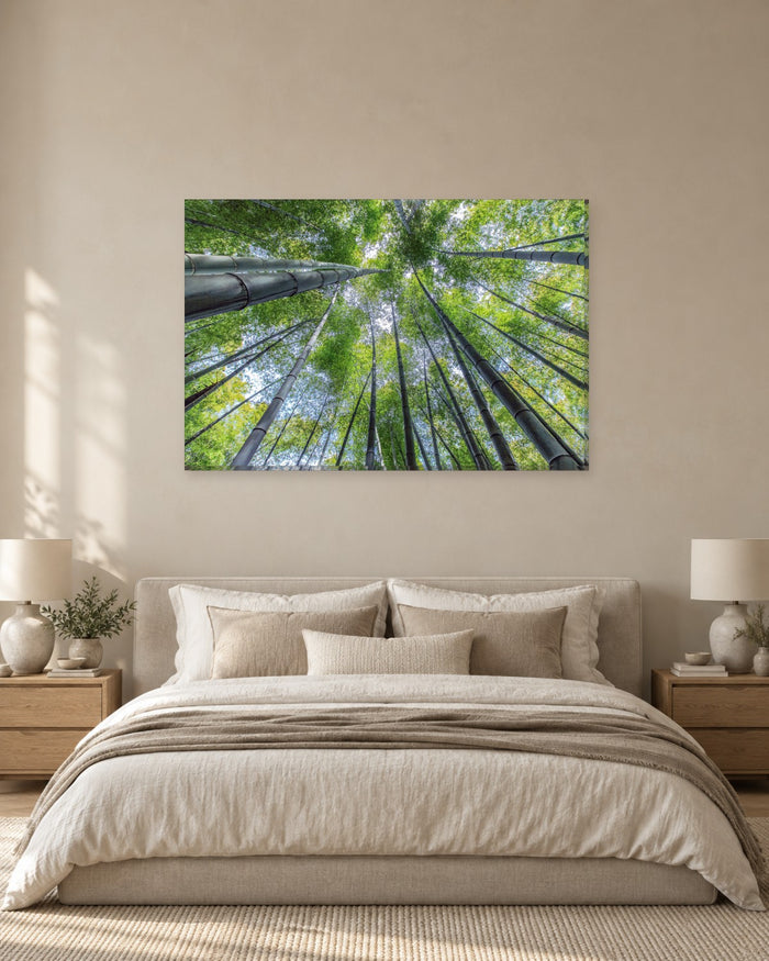 Bamboo Forest Looking Up Canvas Wall Art - Tall Green Stems and Sky - Gallery Canvas - 38mm / 48 x 32 / Unframed preview