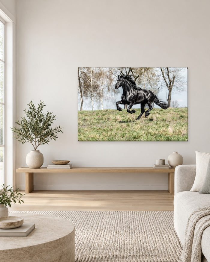 Black Horse Canvas Wall Art - Galloping Stallion in a Meadow - Gallery Canvas - 38mm / 48 x 32 / Unframed preview