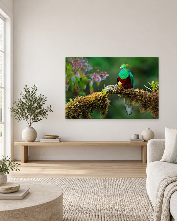 Resplendent Quetzal Bird Canvas Wall Art - Costa Rica Rainforest Animal Art - Gallery Canvas - 38mm / 48 x 32 / Unframed preview