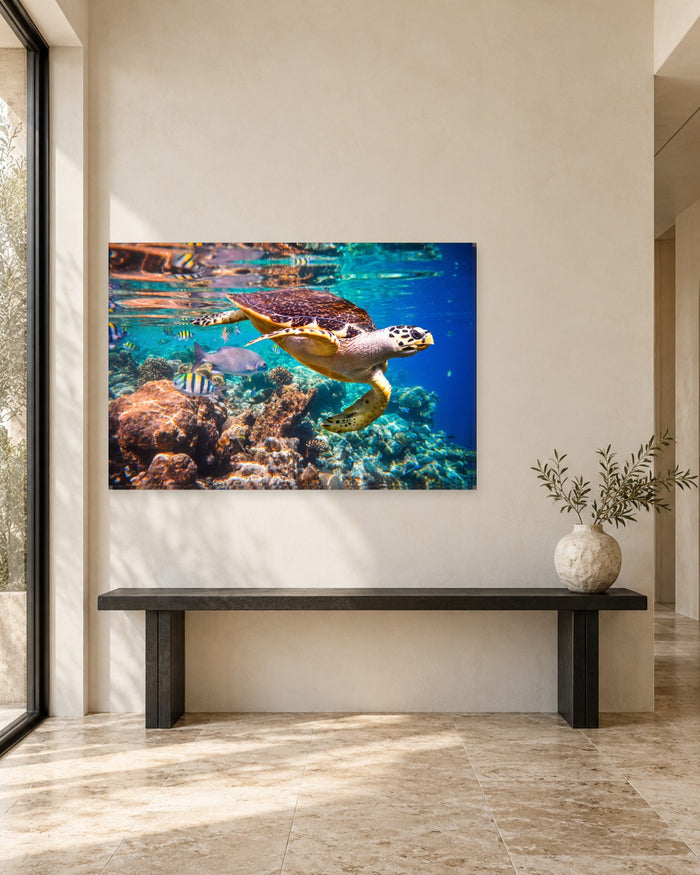 Sea Turtle Over a Coral Reef Canvas Wall Art - Underwater Animal Art - Gallery Canvas - 38mm / 48 x 32 / Unframed preview