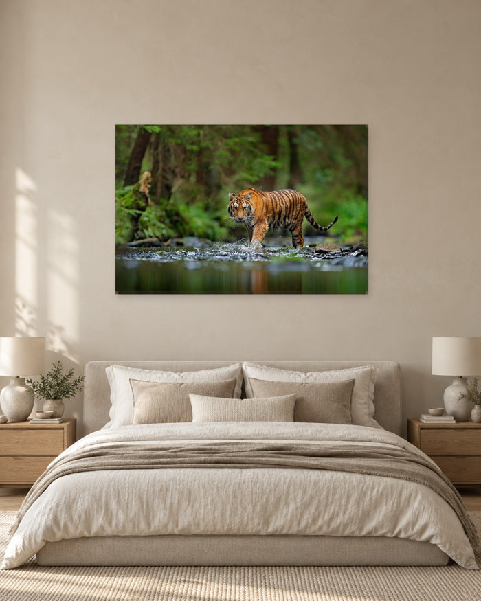 Tiger Walking Through Water Canvas Wall Art - Jungle Stream - Gallery Canvas - 38mm / 48 x 32 / Unframed preview