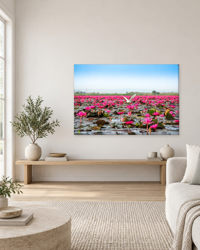 Pink Lotus Lake Canvas Wall Art - Lotus Flowers and White Bird, Thailand - Gallery Canvas - 38mm / 48 x 32 / Unframed preview