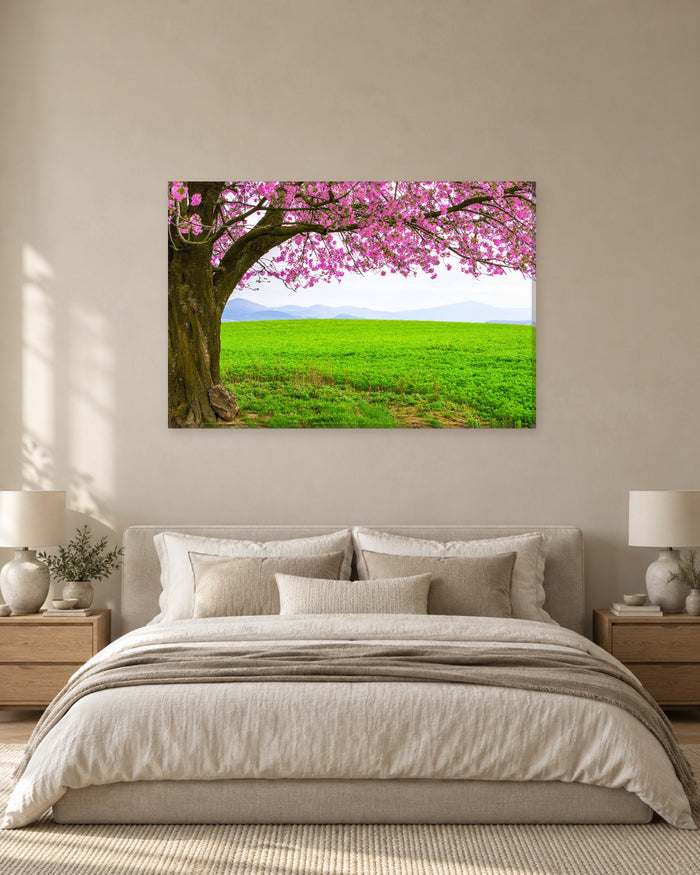 Japanese Cherry Blossom Canvas Wall Art - Pink Sakura Tree over a Green Meadow - Gallery Canvas - 38mm / 48 x 32 / Unframed preview