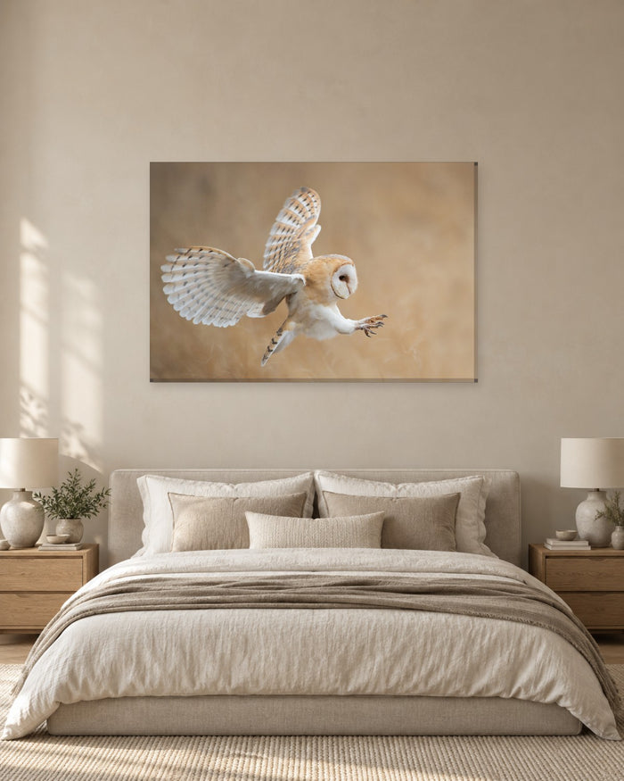Barn Owl Canvas Wall Art - White Owl in Flight with Wings Spread - Gallery Canvas - 38mm / 48 x 32 / Unframed preview