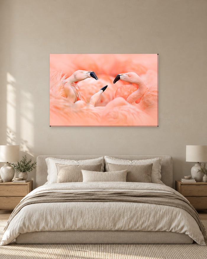 Flamingo Canvas Wall Art - Three Pink Flamingos Nestled in Soft Feathers - Gallery Canvas - 38mm / 48 x 32 / Unframed preview