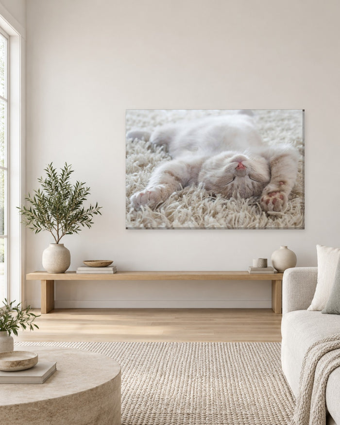 Sleeping Cat Canvas Wall Art - Fluffy White Kitten Stretched Out on a Shaggy Rug - Gallery Canvas - 38mm / 48 x 32 / Unframed preview