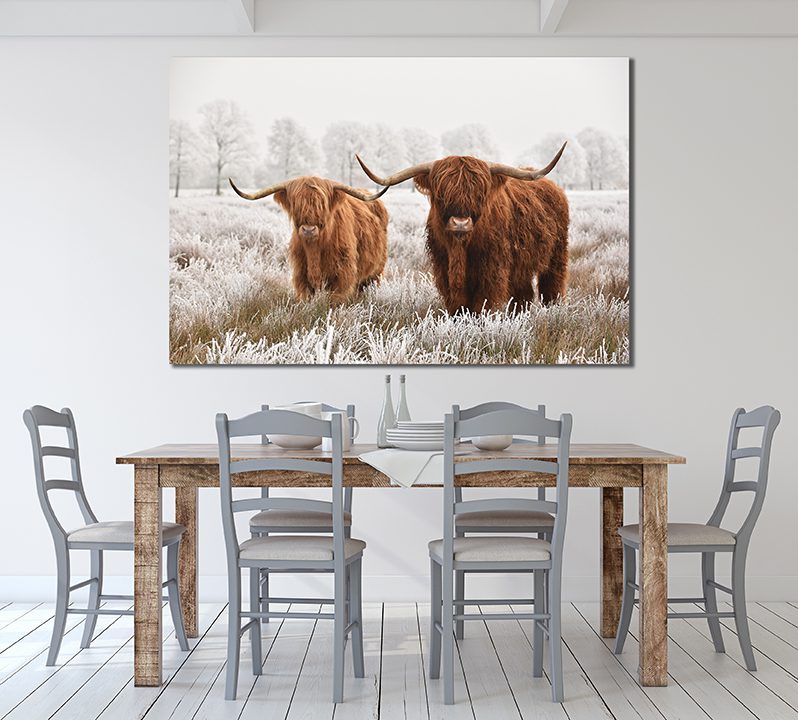 Scottish Highlander Canvas Print Wall Art - Hairy Cow | My Canvases