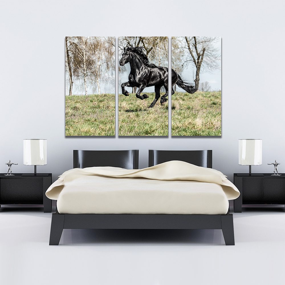 Black Horse In A Field Canvas Wall Art