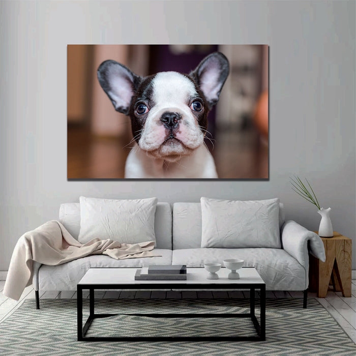 French Bulldog Puppy Canvas Wall Art - | My Canvases