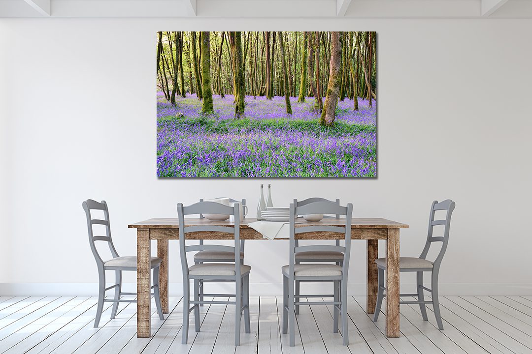 Bluebell Woods Camborne Cornwall UK Canvas Wall Art - | My Canvases