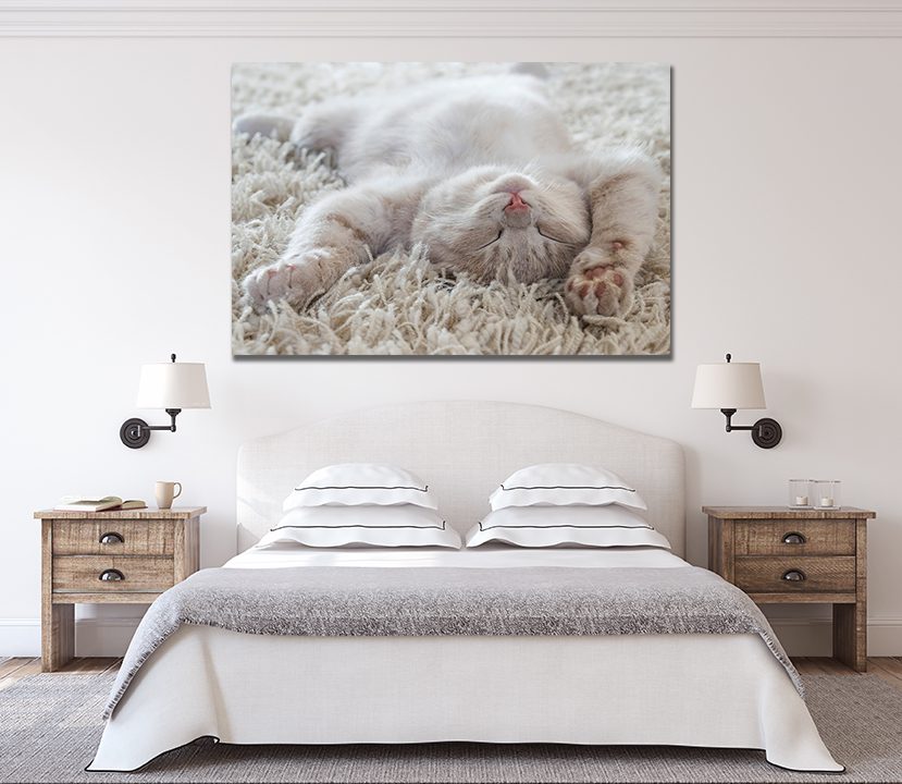 Cat Relaxing On Rug Canvas Print - Wall Art