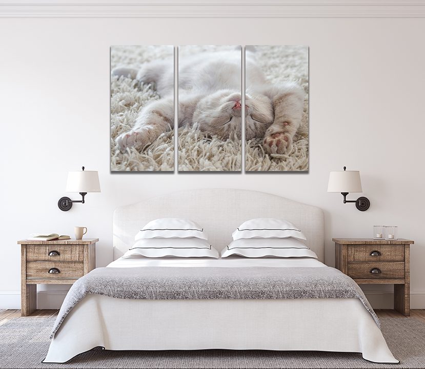 Cat Relaxing On Rug Canvas Print