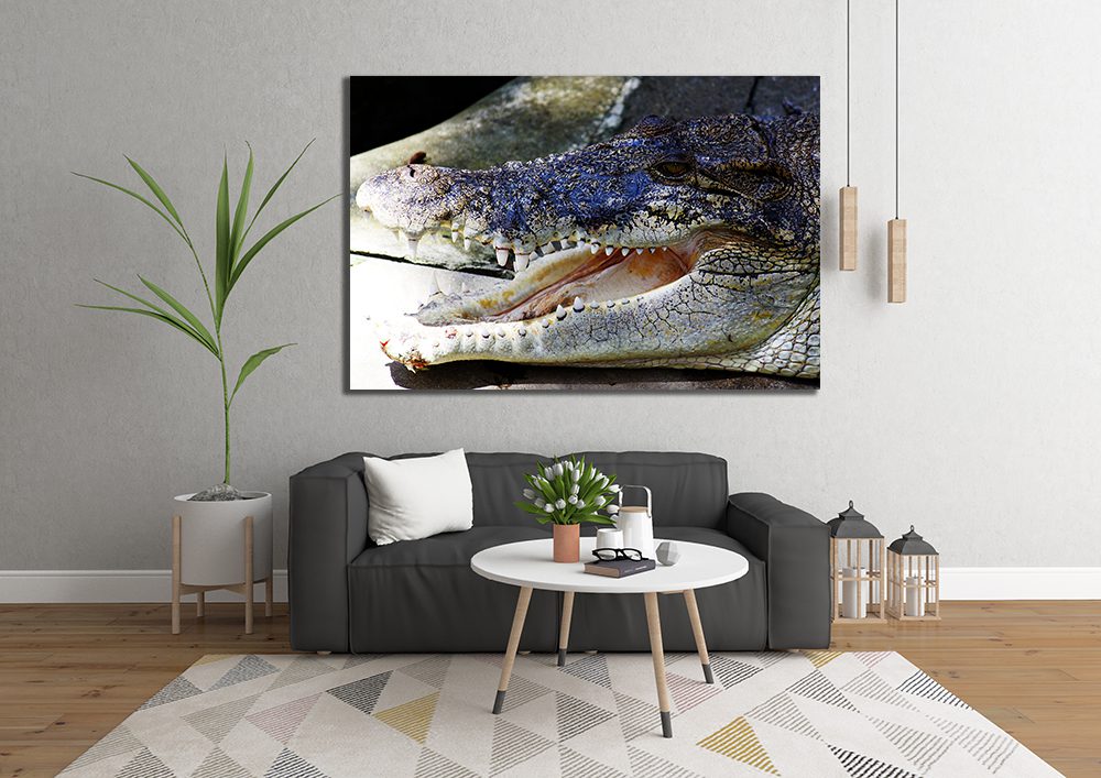 Crocodile Canvas Wall Art - MyCanvases