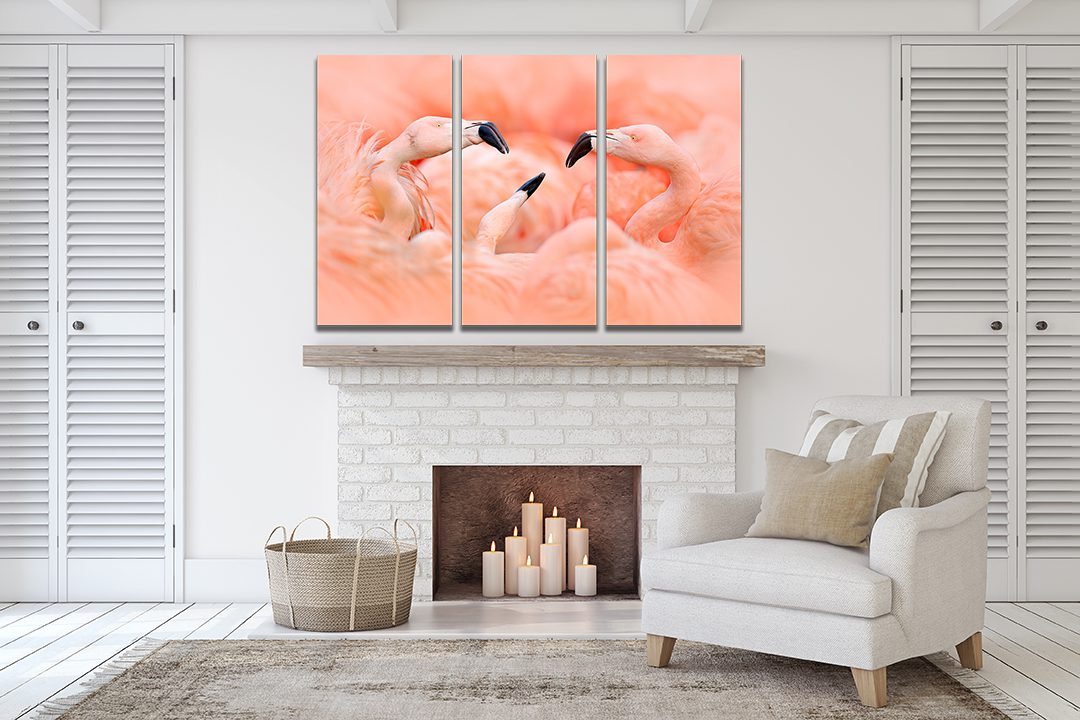 Flamingos Canvas Print Wall Art