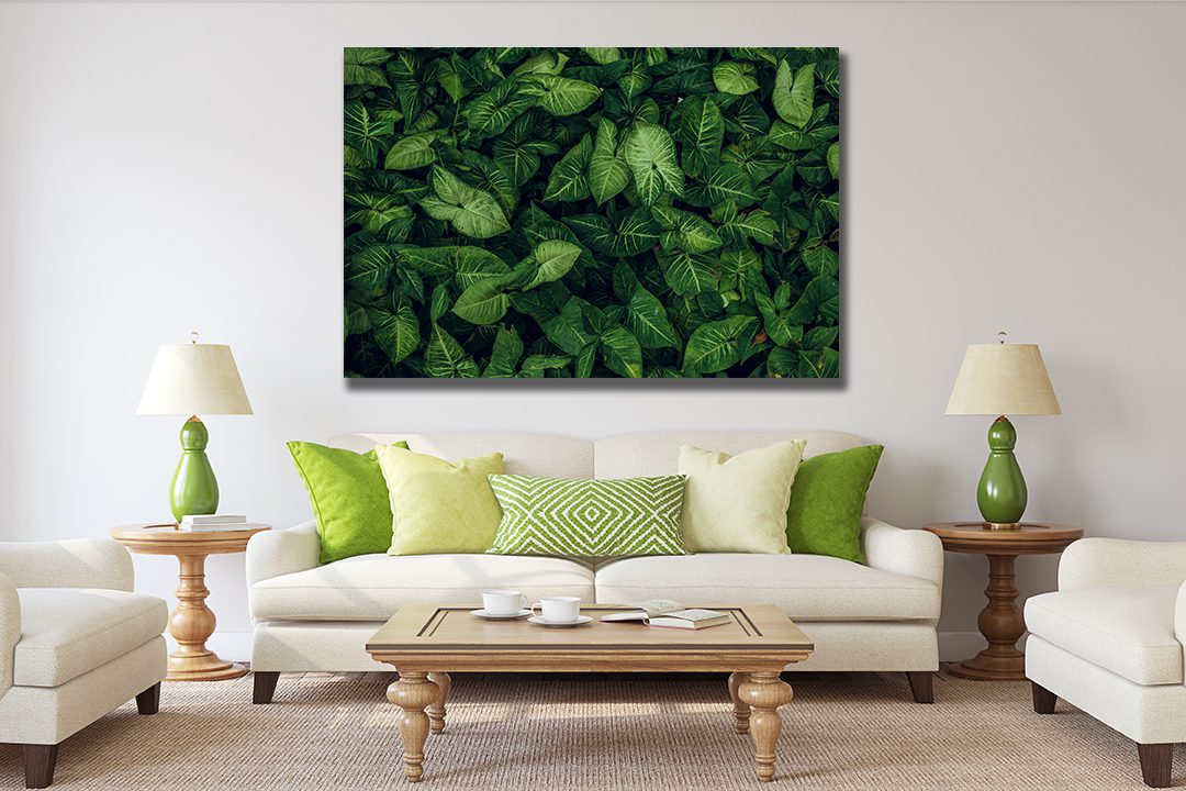 Green Leaf Canvas Wall Art - MyCanvases