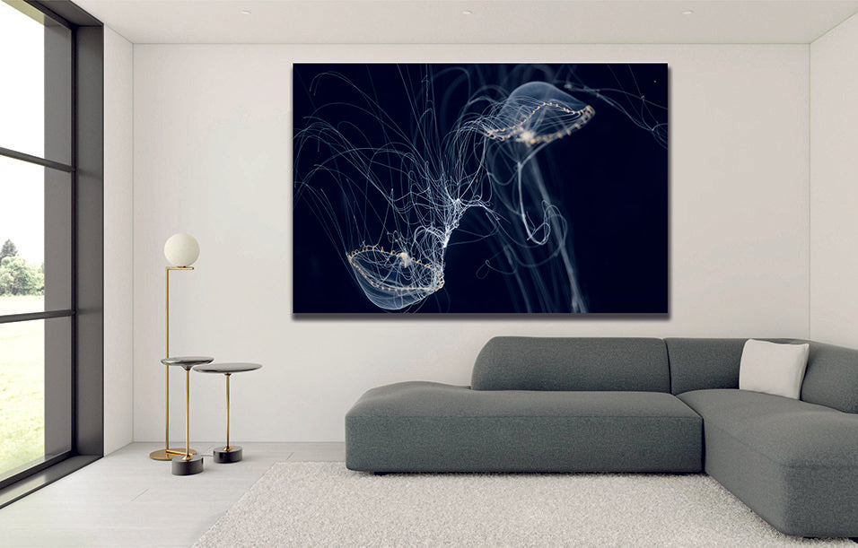 Jelly Fish Dark Water Canvas Wall Art - | MyCanvases
