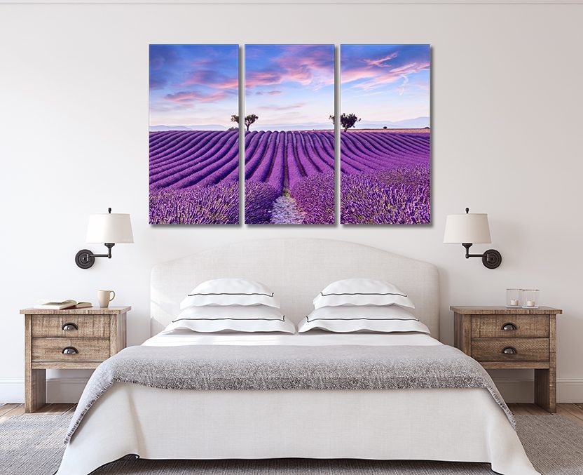 Lavender Field Scene Canvas Wall Art
