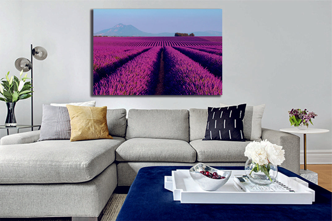 Lavender Field With Mountain Range Canvas Wall Art Home Decor