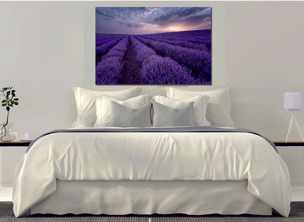 Lavender Field, Summer Sunrise Wall Art - | My Canvases