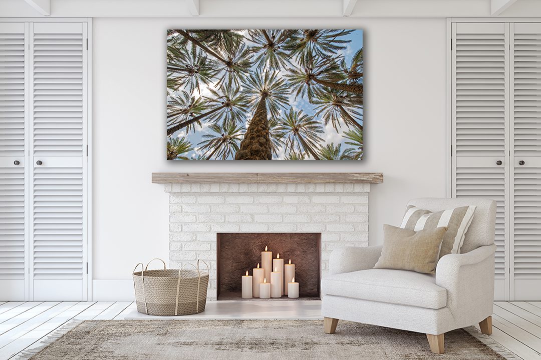 Palm Trees in the forest with Sky view sunlight Canvas Print Wall Art - | MyCanvases