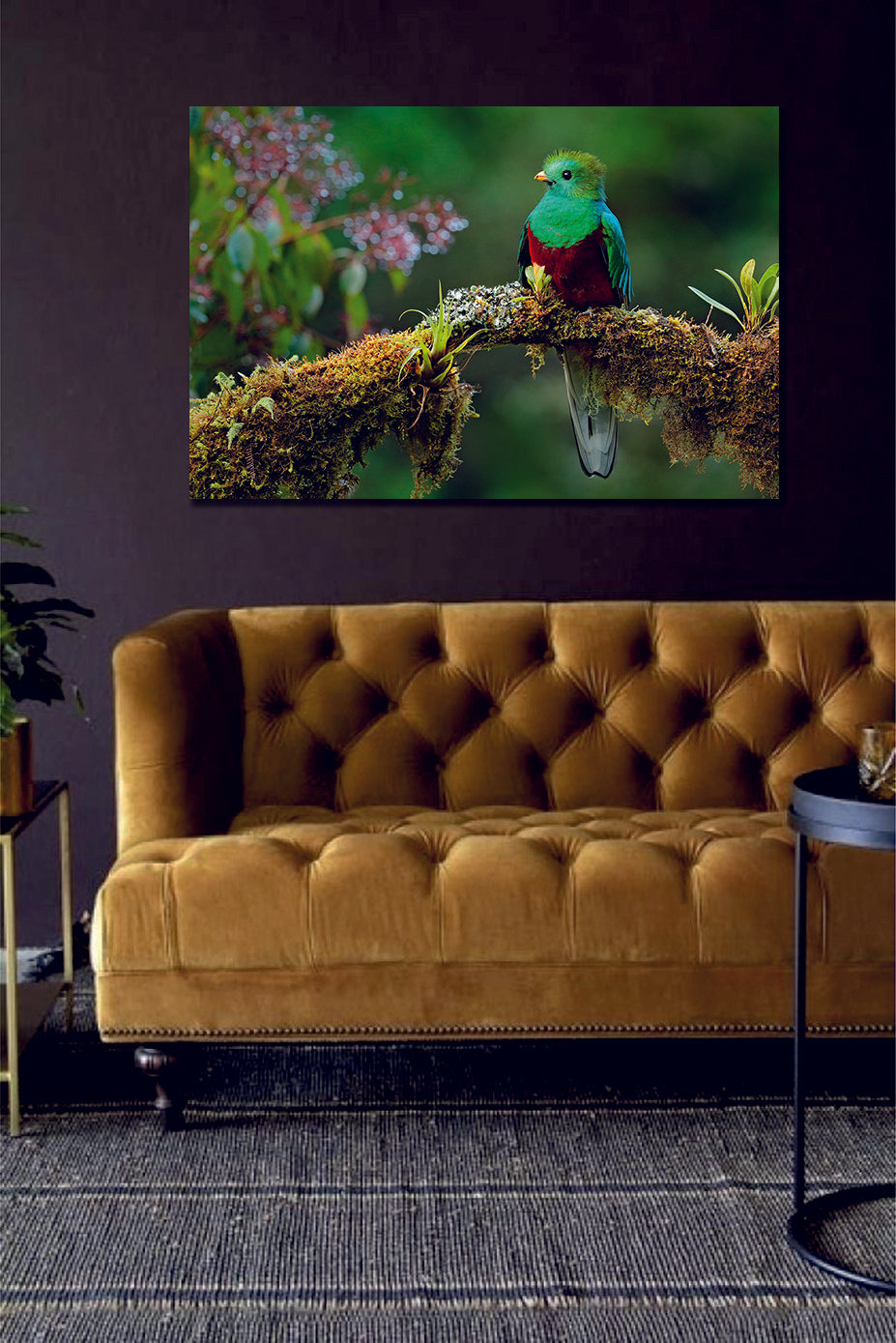 Resplendent Quetzal, Pharomachrus Mocinno, Savegre in Costa Rica Canvas