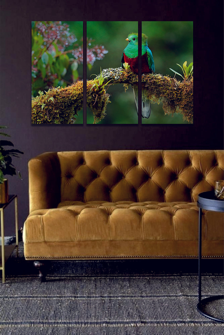 Resplendent Quetzal, Pharomachrus Mocinno, Savegre in Costa Rica Canvas