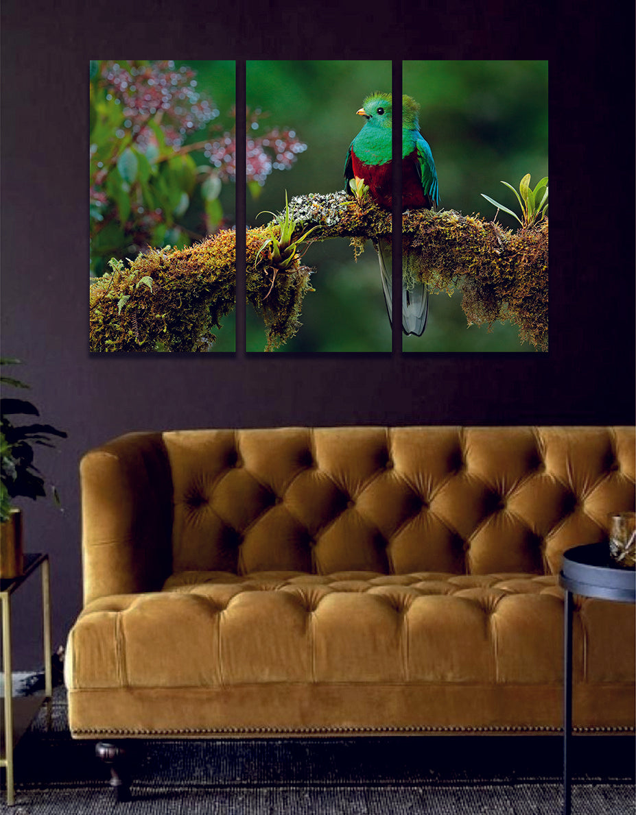 Resplendent Quetzal, Pharomachrus Mocinno, Savegre in Costa Rica Canvas