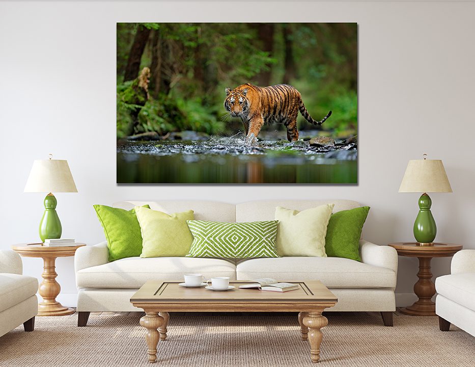 Tiger walking in Water Wall Art | My Canvases
