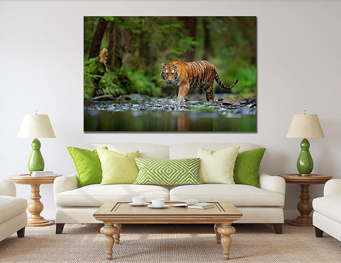 Tiger walking in Water Wall Art | My Canvases