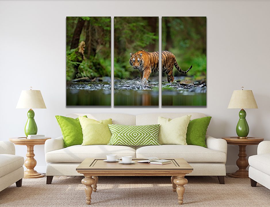 Tiger walking in Water Wall Art
