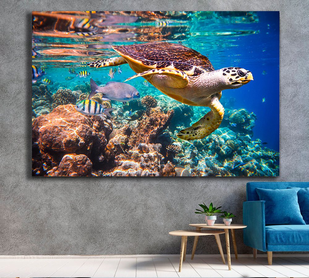 Underwater Tortoise Canvas Wall Art - MyCanvases