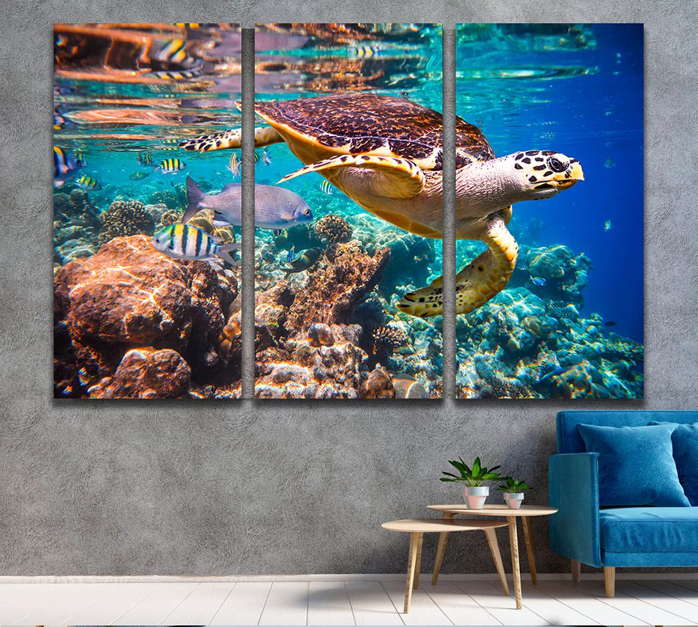 Underwater Tortoise Canvas Wall Art
