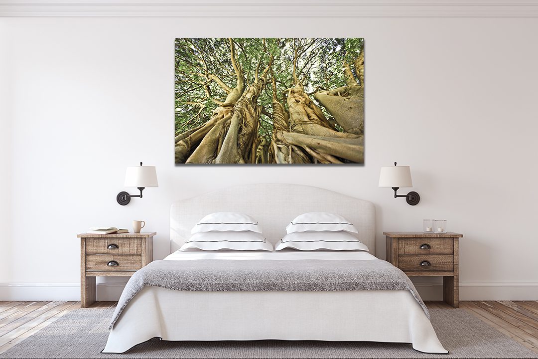 Kirstenbosch Gardens Cape Town Canvas - | MyCanvases