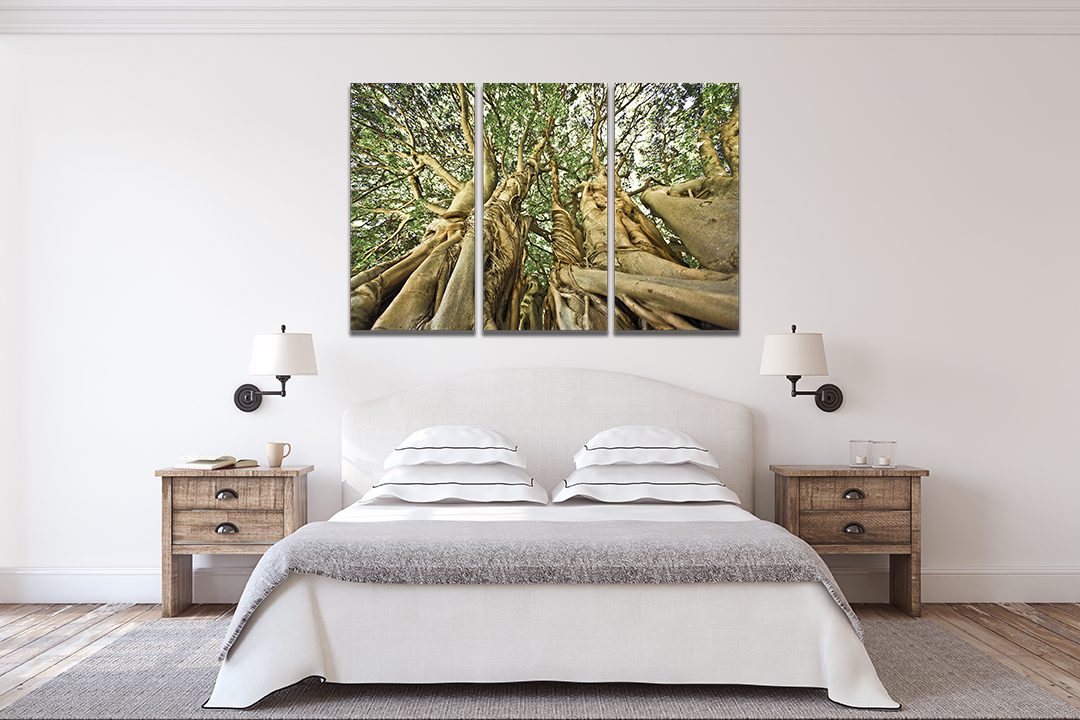 Kirstenbosch Gardens Cape Town Canvas