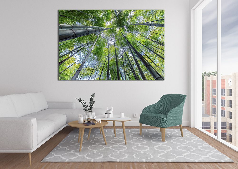 Tall Trees Sky Canvas Wall Art - | MyCanvases