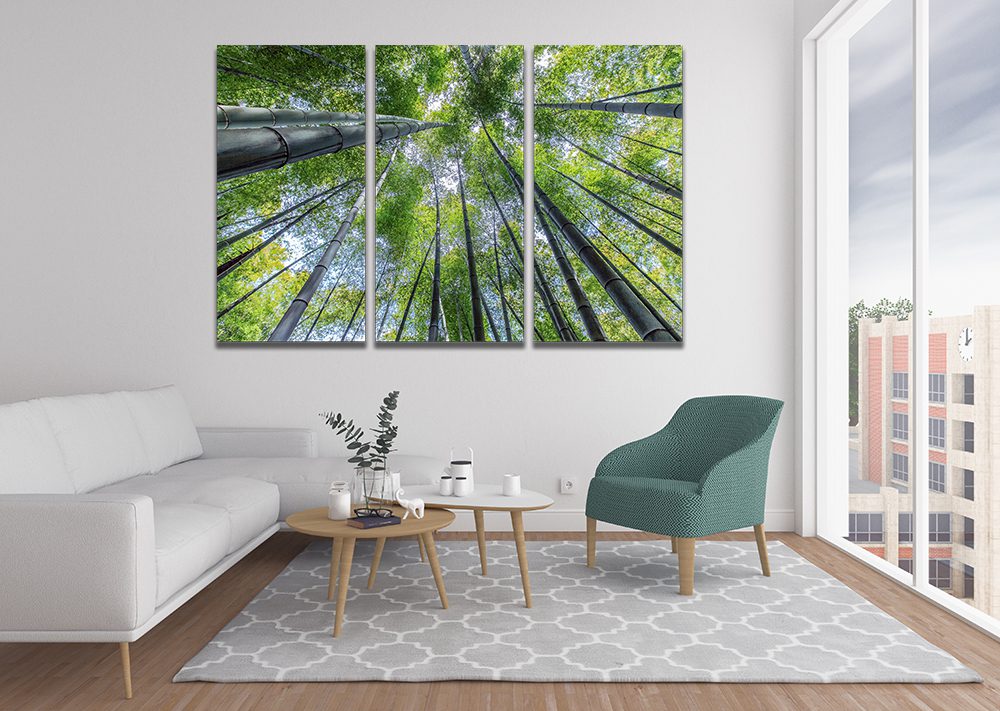 Tall Trees Sky Canvas Wall Art